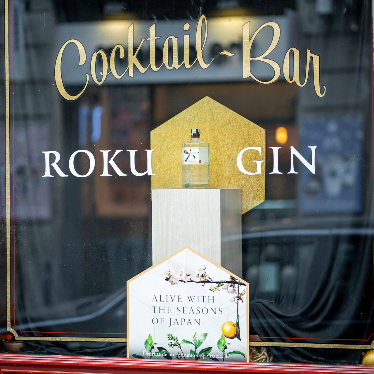 Fotografia-Roku-GIN-079